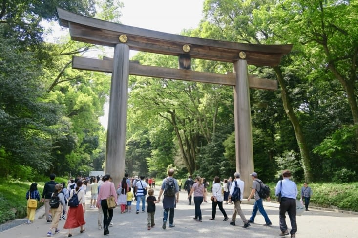 On accède au site en passant sous un magnifique « torii » en cèdre.