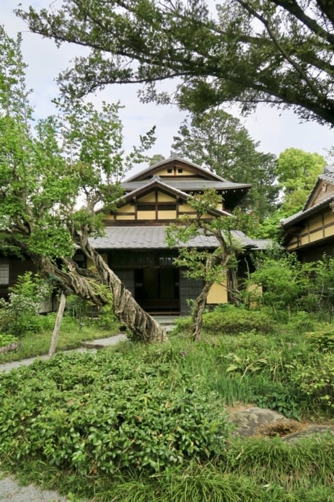La végétation qui entoure la maison masque ses volumes.