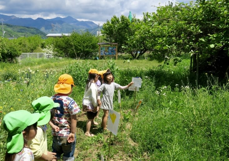 Présentation des cultures, avec beaucoup de fierté.