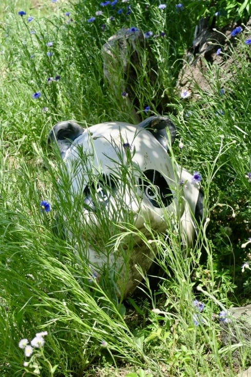 Tiens mais c’est aussi un zoo ?!