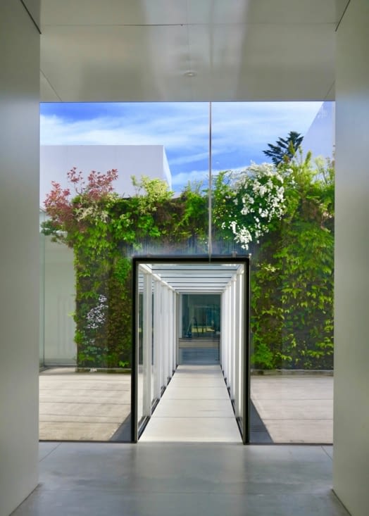 Traversée d’un mur végétal de l’artiste Patrick Blanc ...