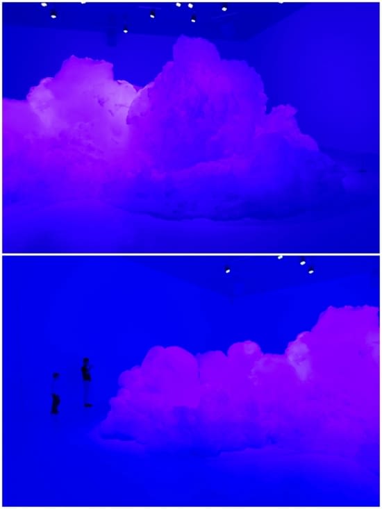 Une œuvre éphémère : sculpture de mousse.