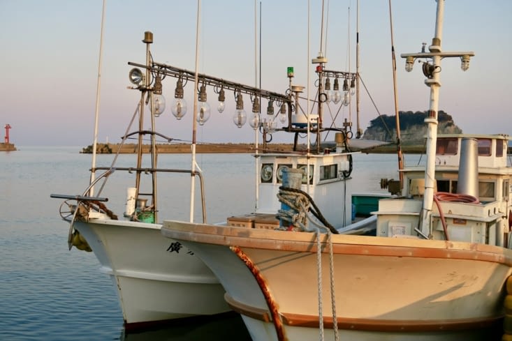 Certains bateaux pêchent la nuit à la lumière :