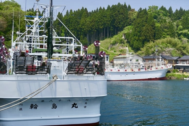 En repartant vers l’est, vers notre hôtel, nous passons par un grand port de pêche.