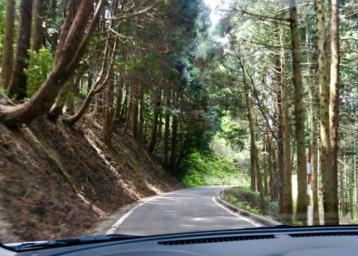 La route serpente beaucoup et traverse des montagnes recouvertes de forêts.