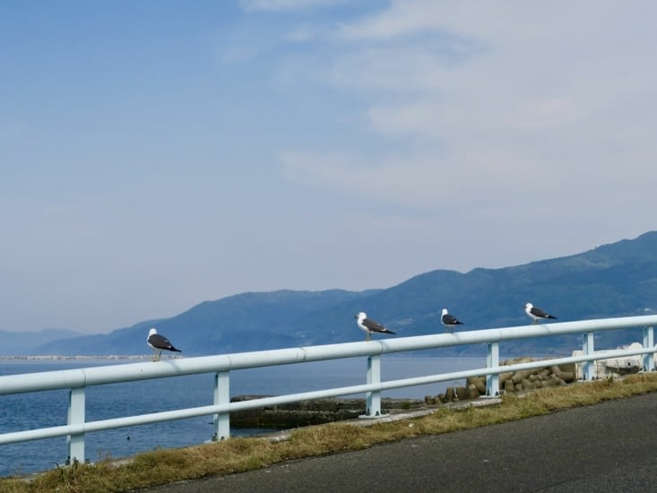 Nous quittons ensuite la ville, direction le bord de mer.