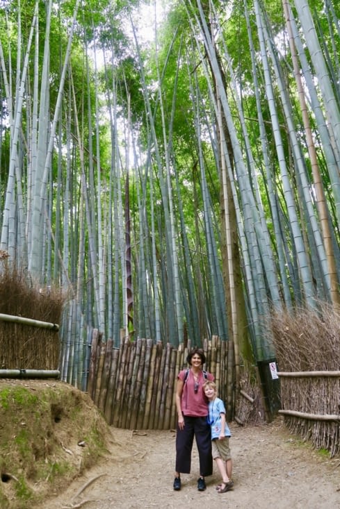 Penchés comme les bambous !