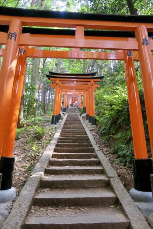 Ça monte raide, on touche au but !