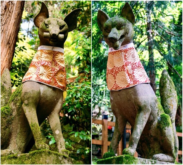 Et toujours, les « kitsune », les deux renards gardiens au regard scrutateur.