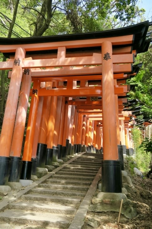 La pente s’accentue et les torii s’espacent un peu, laissant apparaître la forêt.