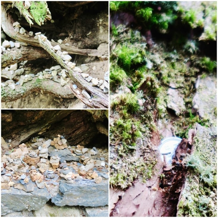 Des petits cailloux ou des pièces cachées dans une écorce...