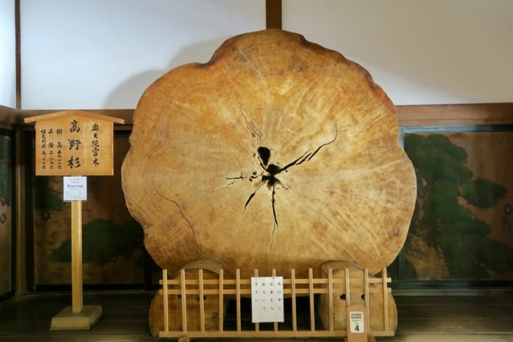 La relique d’un vénérable cèdre d’Okuno-in, la forêt-cimetière :