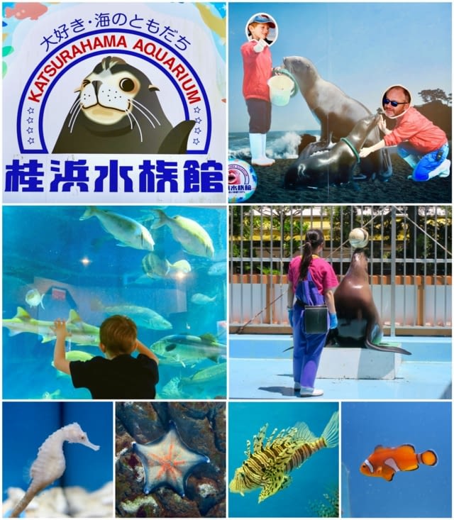 On y découvre un aquarium,