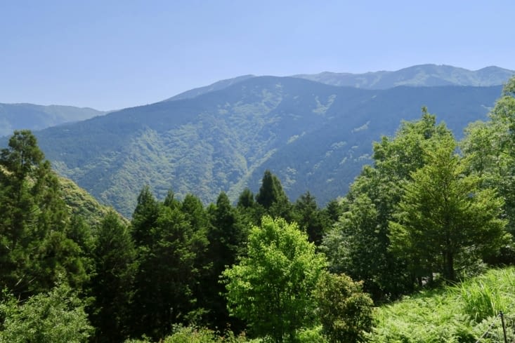 Les montagnes qui couvrent tout le centre de l’île de Shikoku.