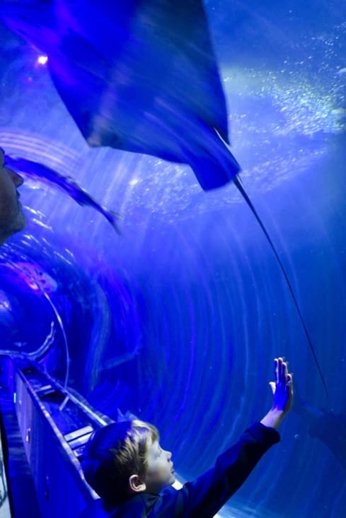 Dans le tunnel, on s’y croirait !