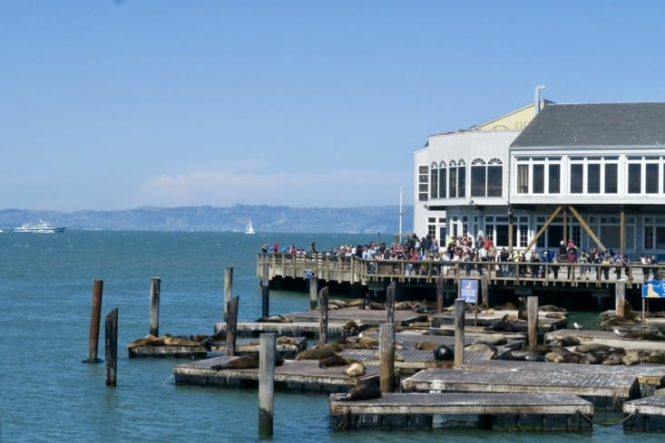 Petite croisière dans la baie, pour aller saluer le Golden Gate Bridge.
