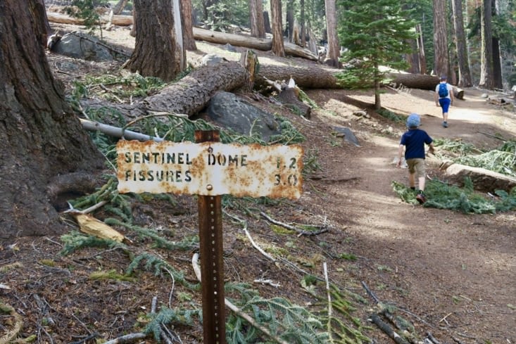 Une randonnée permet de monter au Sentinel Dome, pour une vue dégagée sur la vallée.