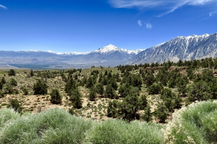 En arrière plan, le Mont Tom, qui culmine à 4160 m.