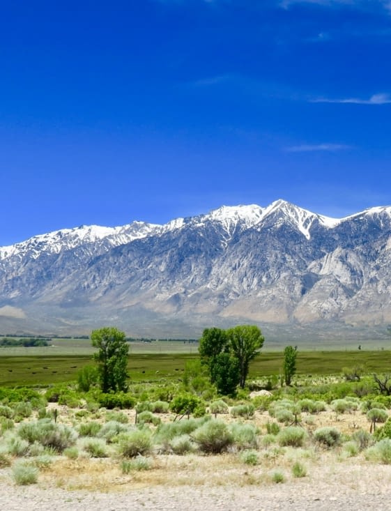 Dernière vue sur les sommets enneigés.