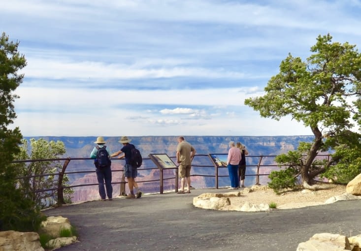 Les aires d’observation sont bien protégées.
