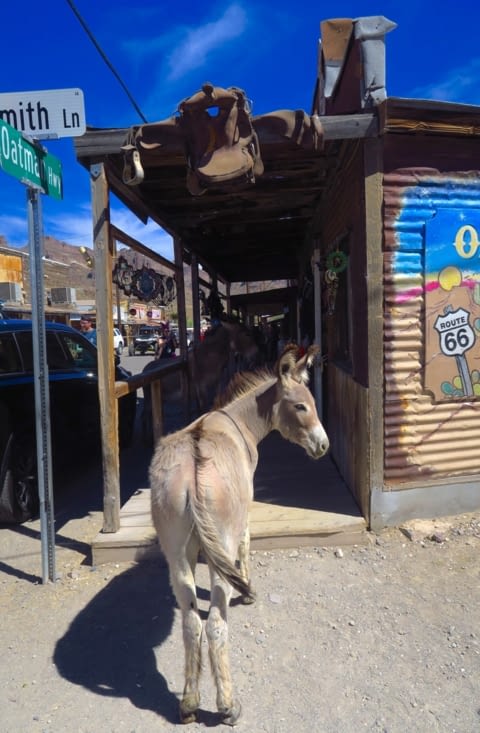 La ville a été abandonnée dans les années 60 et ne compte plus que 128 habitants...