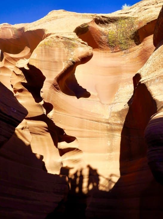 Descente dans les entrailles du canyon...