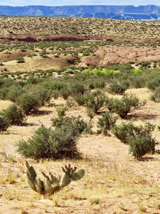 Retour sur le plateau désertique.