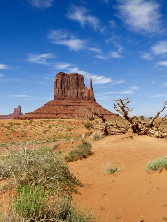 On dirait presque Notre-Dame de Paris... avec sa flèche...