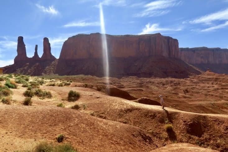 Un petit coyote du désert sur la piste d’un rayon mystérieux...
