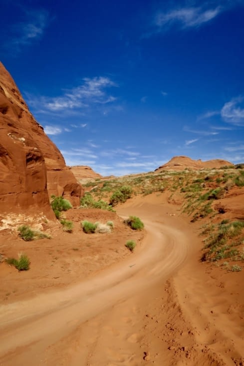 Notre guide nous emmène ensuite sur une piste découvrir l’arrière pays,
