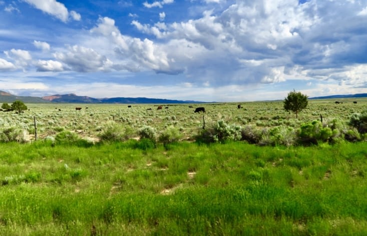 C’est moins désertique par ici,