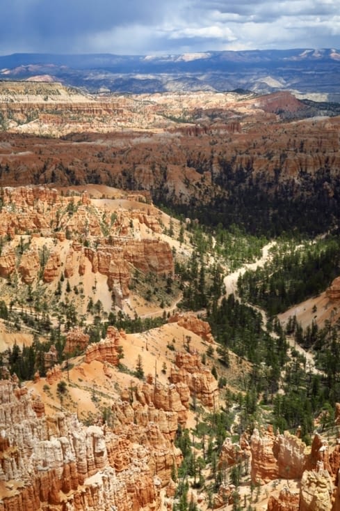 Le canyon est parsemé de cheminées de fées oranges,