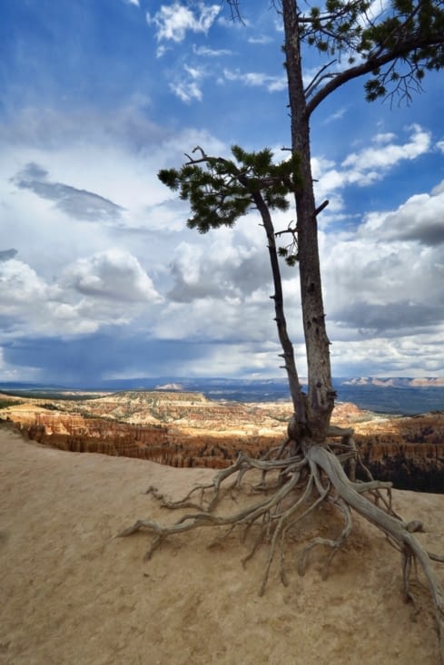 Juste au bord du précipice, il n’a pas le vertige !