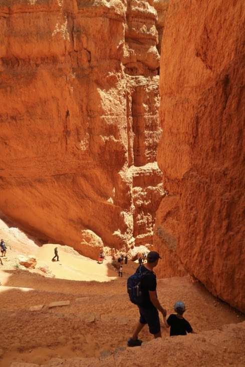 « Navajo loop », qui descend raide vers....