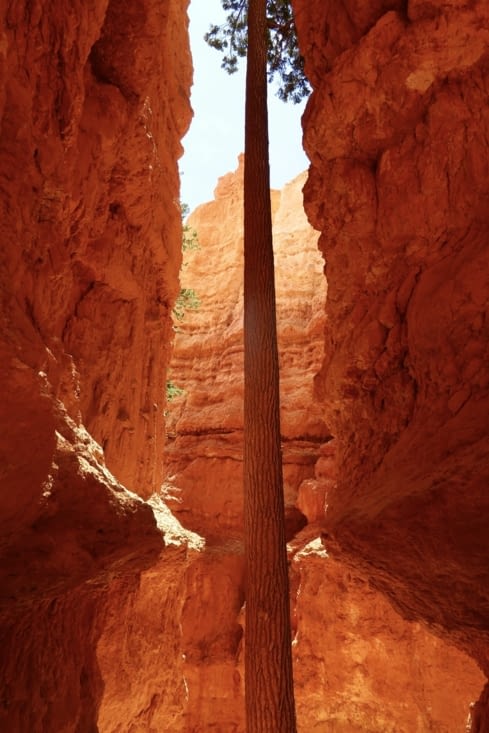 Quelle ténacité !!