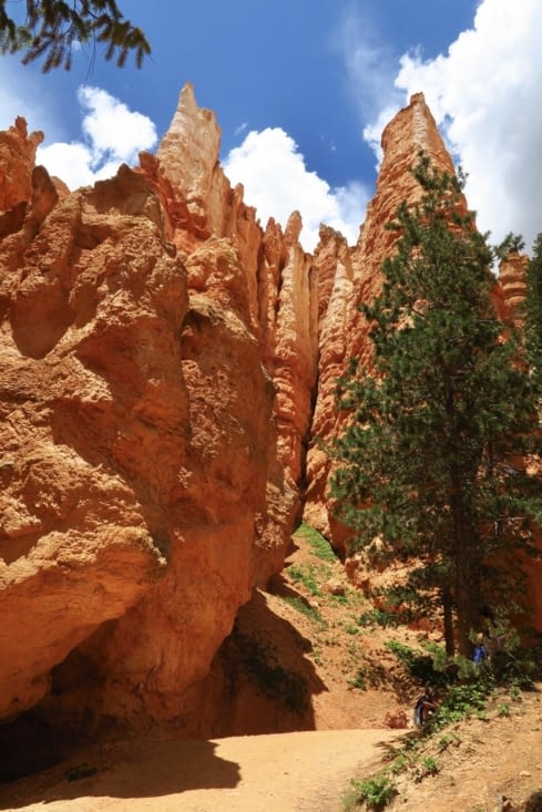 Et le sentier navigue entre les hoodoos, spectaculaires aussi vus par en-dessous.