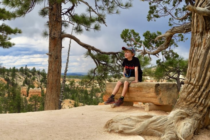 Presque arrivés, courage Junior Ranger !