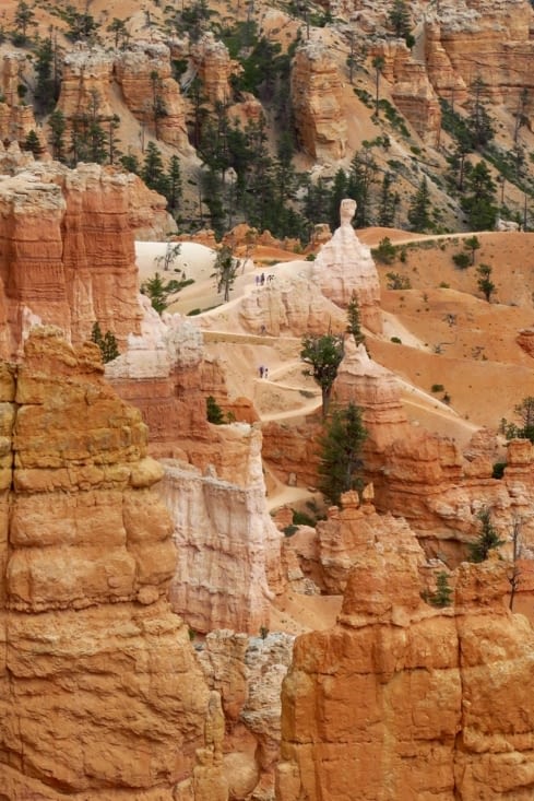 Voici une partie du sentier, vue de haut. Comme un labyrinthe...