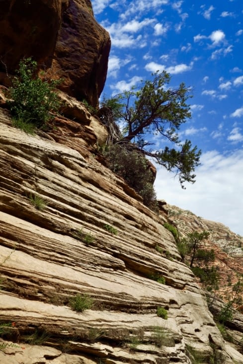 ... Mais comment résister ?