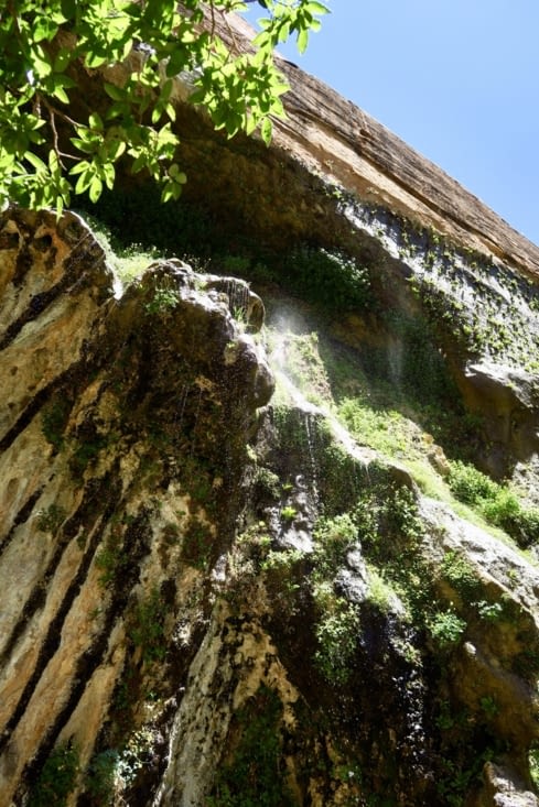 Aah une petite douche fraîche ! Car il fait 35° à l’ombre...