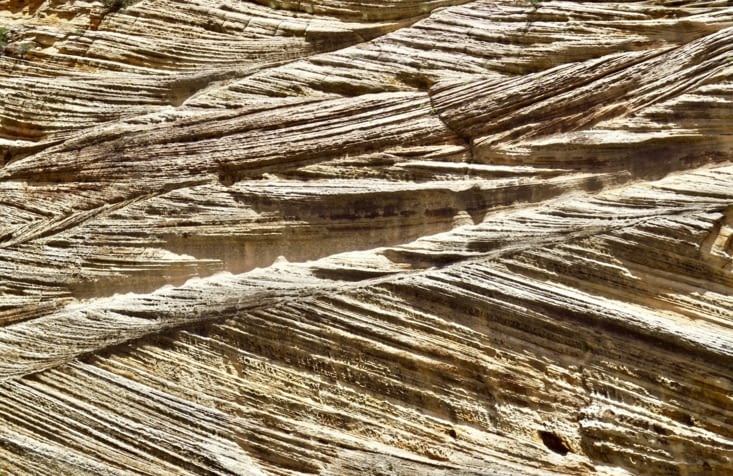 En fait, voici la source d’inspiration d’Issey Miyake ?