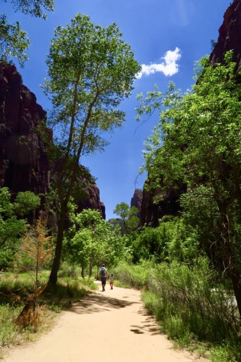 On continue de longer la rivière, au fond du canyon.