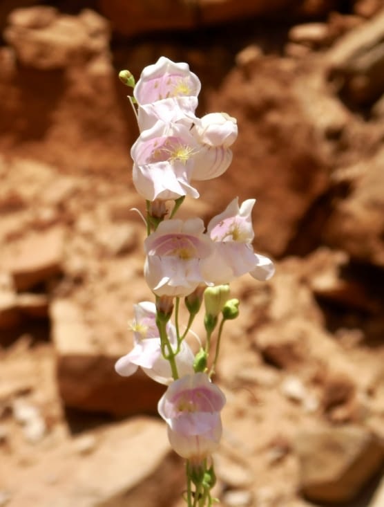 Une rencontre délicate pour nous encourager.