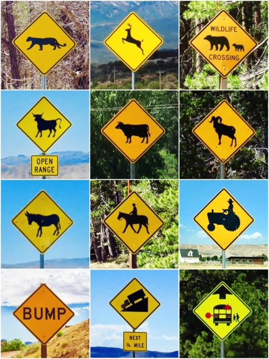 On n’a pas vu les ours et les cougars, mais tous les autres, oui !