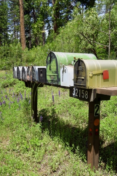 Sur la route forestière qui mène au lac de Hetch Hetchy.