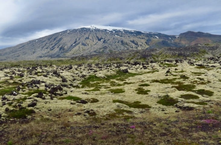 Champs de lave au pied du glacier.