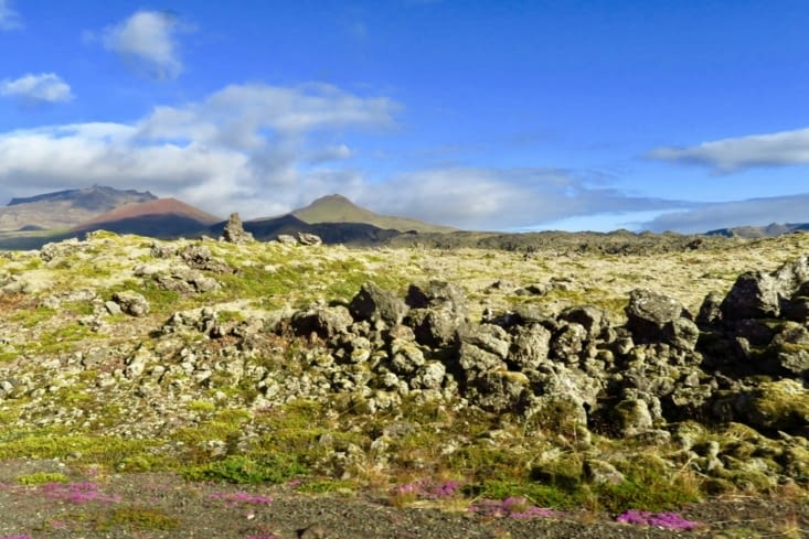 Un champs de sculptures de lave.