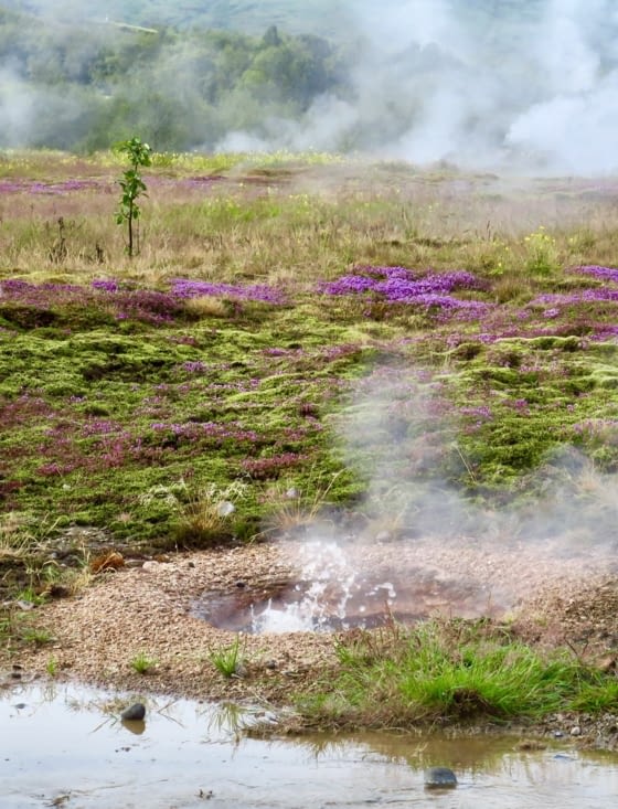 Un petit bain de pieds ? ?