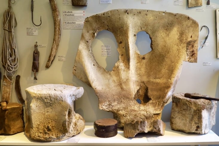 Des tabourets en vertèbre de baleine