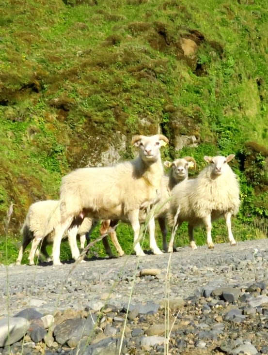 Intrigués, ils sont venus me voir.